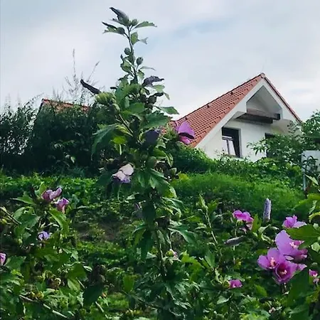 Carovna Chalupa Do Hodiny Od Bratislavy *
